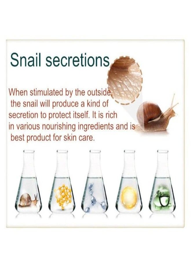 ZeroLuxury® Snail Repair Serum Natural Skincare Elixir for Radiant Complexion Snail Face Serum for Radiant Skin - Hydrating, Anti-Aging Formula For Women -30ml (Pack of 2) - Image 3