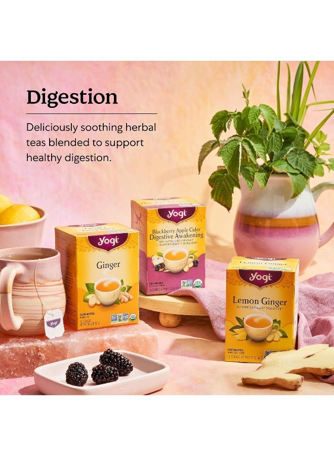 Yogi Stomach Ease Herbal Tea - 6 Pack - Image 5