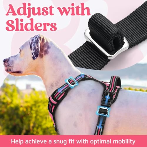 Doggo Bite Premium Reflective Dog Vest Harness| Soft Breathable| Padded Handle| Adjustable Straps & Luxury Buckle| No-Choke Design with Free Leash-26mm Chest (28-35inch) All Medium Breeds 14-22 Kg - Image 3