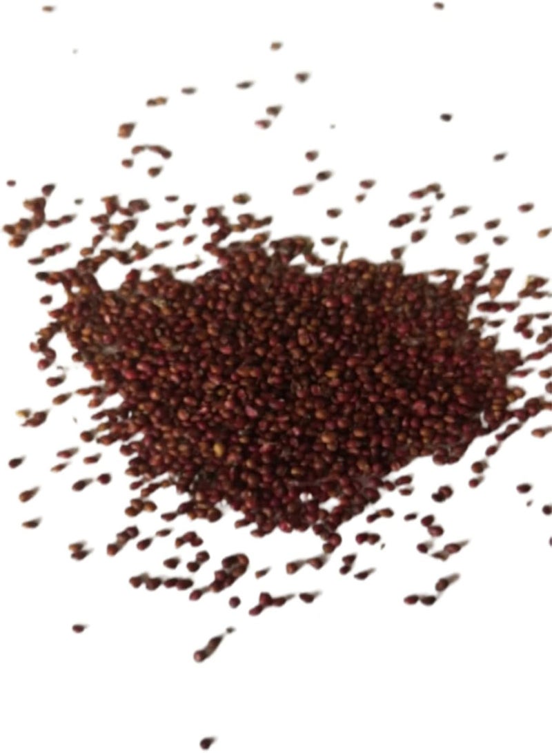 GGOOT 120Pcs Delicious Strawberry Seeds,Home Garden Bonsai Pot Climbing Fruit Plant for Planting Garden Yard Outdoor 1 Strawberry Seeds - Image 2