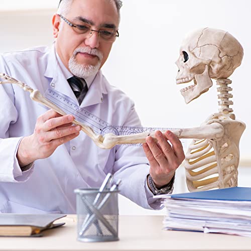 ASA Techmed مجموعة ASA TECHMED كاملة من الجونيو متر 6 قطع + شريط قياس الجسم - العلاج الطبيعي، العلاج المهني، اللياقة البدنية، مسطرة الزاوية الطبية 12/8/6 بوصات - Image 5