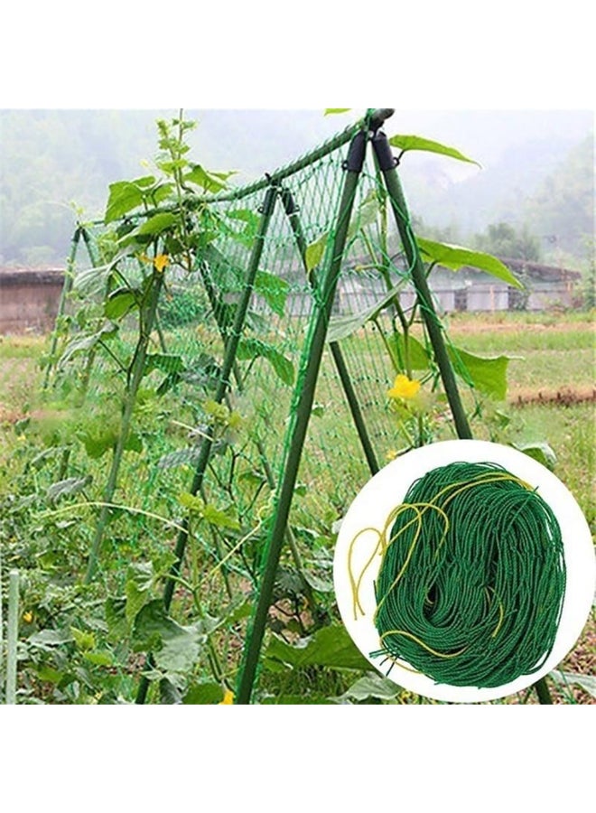 Generic 4 Sizes 27 Strands of Horticultural Plant Climbing Vine Net Ipomoea Nil Climbing Flowers Climbing Rattan Ropes For Plants 