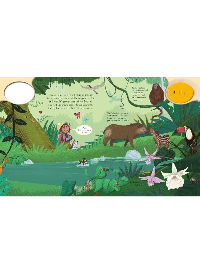 Magic Torch: Explore the Rainforest  - Image 5