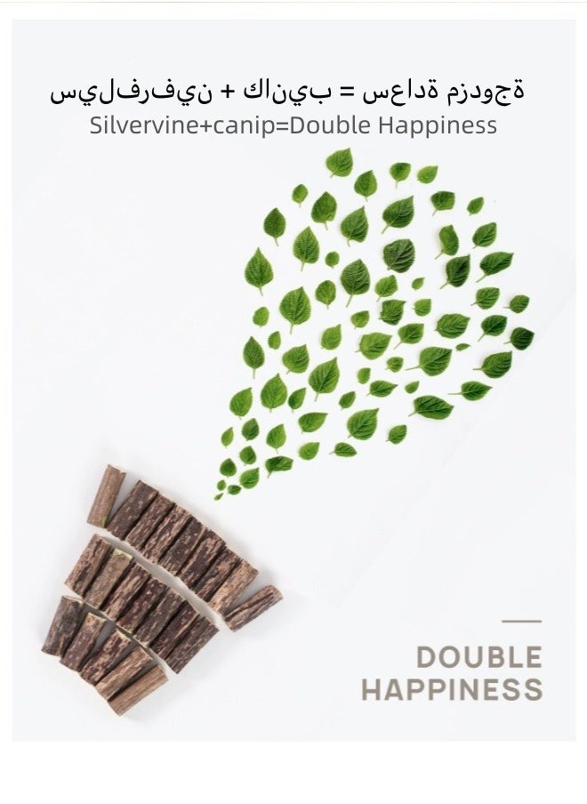 Generic - 1 piece Hipets Catnip Toys, Natural Rattan Sticks Catnip Balls and Bell Balls, Indoor Sounding MolarToys, Teeth Cleaning Chew Toys - Image 1