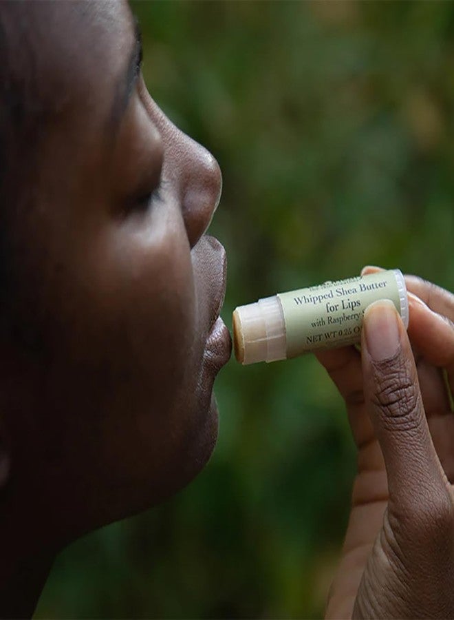 evanhealy Whipped Shea Butter for Lips | Organic Red Raspberry Seed Oil, Beeswax, & Argan Oil | Moisturizing Lip Balm Chapstick (0.15 oz) - Image 2