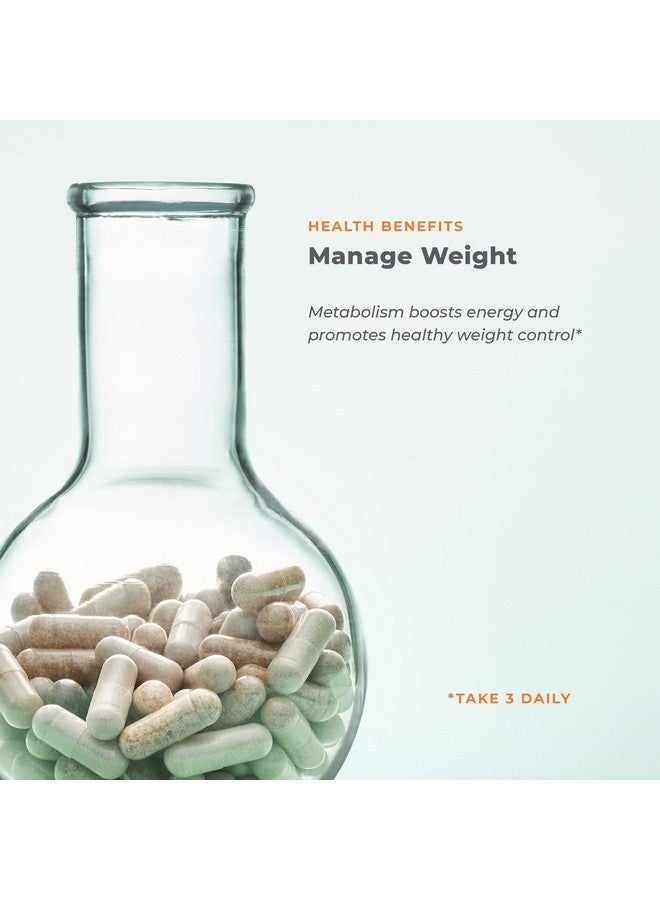 Life Seasons Metabolism Weight Control Support And Energy Booster Supplement Natural Appetite Suppressant Chromium Apple Cider Vinegar And Cocoa Bean Extract 140 Capsules - Image 5