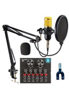 Condenser Microphone for PC Studio with V8 Sound Card
