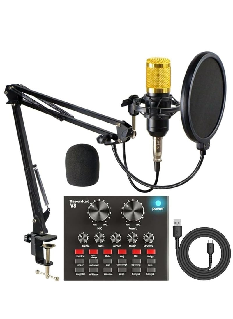 Generic - Condenser Microphone for PC Studio with V8 Sound Card - Image 1
