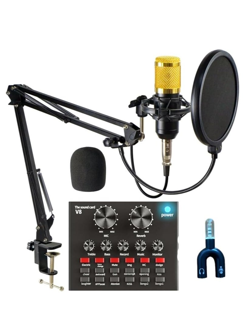 Generic - Condenser Microphone for PC Studio with V8 Sound Card - Image 1