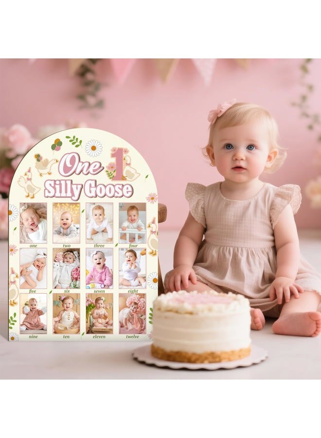 R HORSE My First Year Photo Frame Board, 3D One Silly Goose Birthday Decorations Display Wood Board, Baby First Year Picture Frame 12 Months Milestone 1st Birthday Nursery Decor Gift for Boy Girl - Image 4