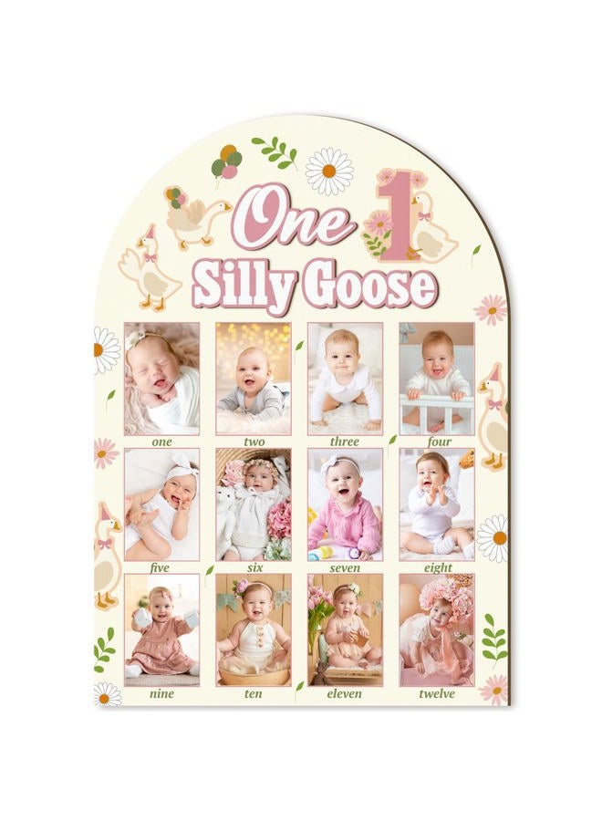 R HORSE My First Year Photo Frame Board, 3D One Silly Goose Birthday Decorations Display Wood Board, Baby First Year Picture Frame 12 Months Milestone 1st Birthday Nursery Decor Gift for Boy Girl - Image 1