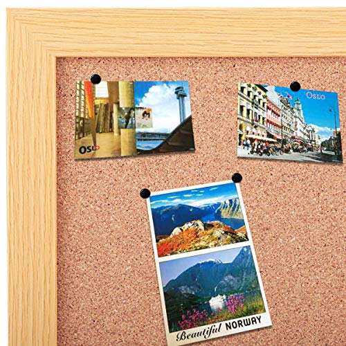 TTSAM 100 PCS Push Pins,Thumb Tacks, Board Pins for Cork Board, Push Pins for School, Office, Map, Photo Wall, Cork Board Bulletin Board(Black) - Image 5