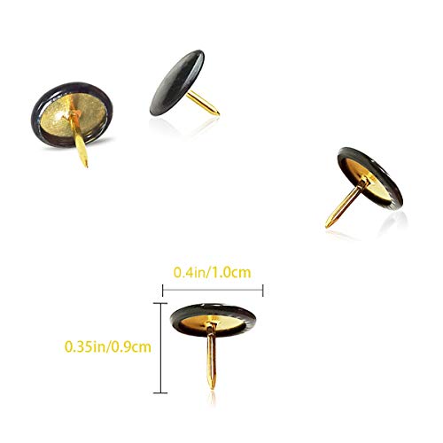 TTSAM 100 PCS Push Pins,Thumb Tacks, Board Pins for Cork Board, Push Pins for School, Office, Map, Photo Wall, Cork Board Bulletin Board(Black) - Image 2