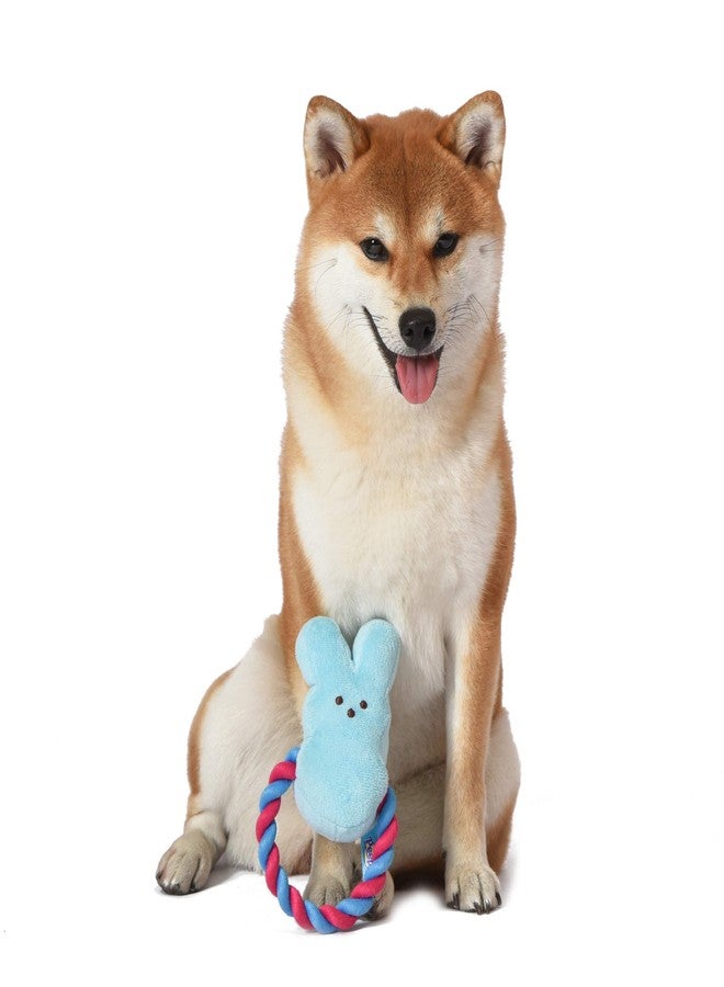 Peeps for Pets Bunny 6 Inch Blue Plush Rope Pull Toy for Dogs | Blue Dog Toy from Peeps, Plush Fabric Dog Toys | Small Squeaker Dog Toy with Rope (FF16024) - Image 4