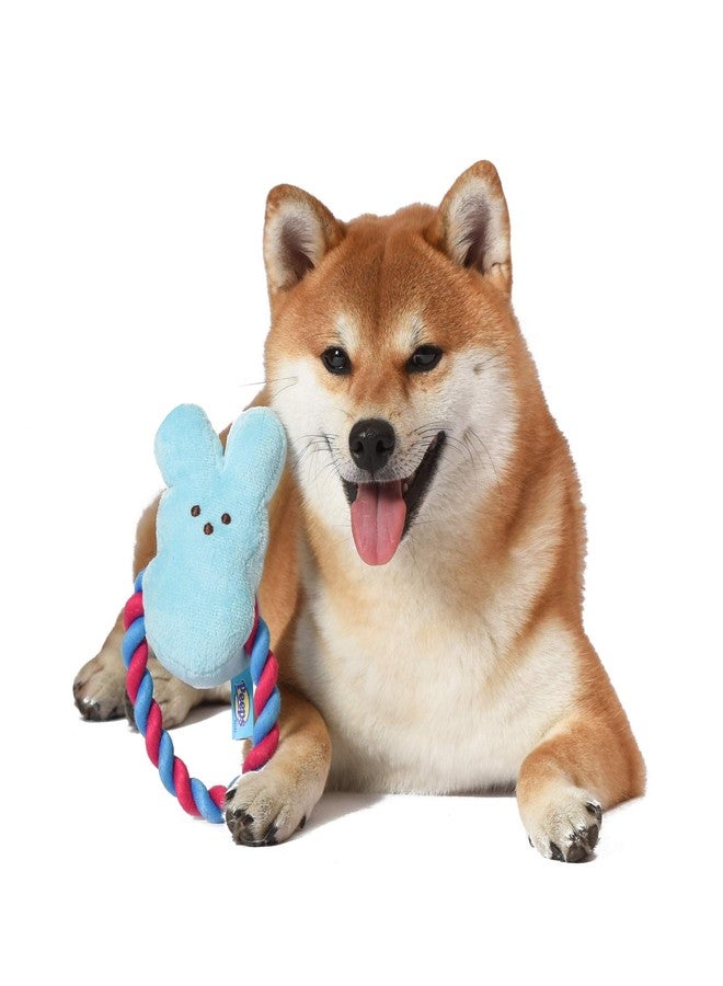 Peeps for Pets Bunny 6 Inch Blue Plush Rope Pull Toy for Dogs | Blue Dog Toy from Peeps, Plush Fabric Dog Toys | Small Squeaker Dog Toy with Rope (FF16024) - Image 5