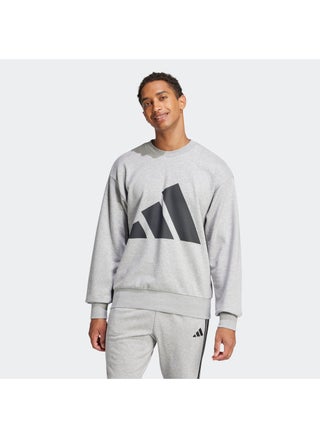 Essentials Big Logo French Terry Sweatshirt - pzsku/Z390E19F54003636F7B8FZ/45/_/1740352978/0392f10b-670e-48b2-a619-515f63afd501
