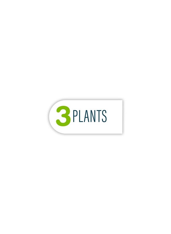 GloFish Fluorescent Plant Multipack 3 Count, Contains Willow Grass, Hairgrass, Berterol Artificial Aquarium Plants - Image 5