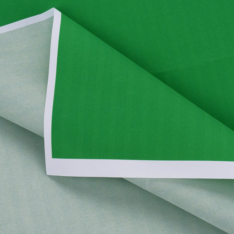 إسكدنيا شاشة خلفية احترافية للتصوير الفوتوغرافي أخضر - Image 5