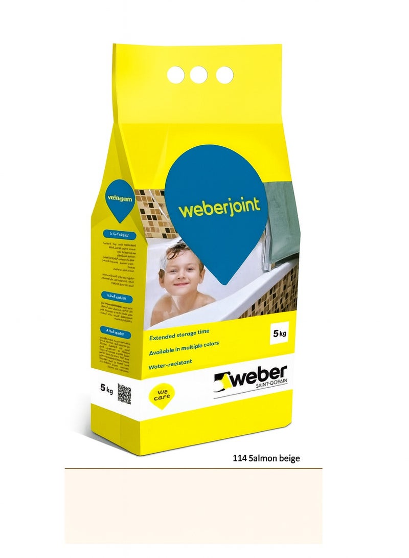 Weber مونة بلاط 5 كجم (بيج سمك السلمون) مونة بلاط جاهزة مختلطة على أساس الأسمنت، سهلة التطبيق للبلاط الجدران والأرضيات - Image 1