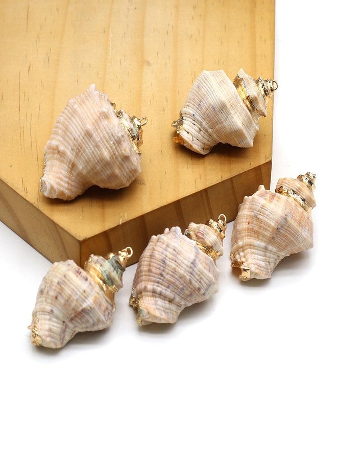 Zotoone 20pcs Natural Shell Pendants Spiral Conch Shell Beach Cowrie Sea Shells Charms Jewelry Charms Ocean Beach Dangle Beads for Nautical Ocean Summer Jewelry Craft Making - Image 5