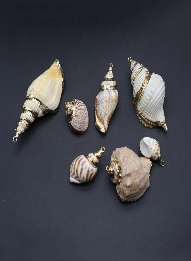 Zotoone 20pcs Natural Shell Pendants Spiral Conch Shell Beach Cowrie Sea Shells Charms Jewelry Charms Ocean Beach Dangle Beads for Nautical Ocean Summer Jewelry Craft Making - Image 2