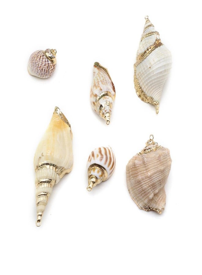 Zotoone 20pcs Natural Shell Pendants Spiral Conch Shell Beach Cowrie Sea Shells Charms Jewelry Charms Ocean Beach Dangle Beads for Nautical Ocean Summer Jewelry Craft Making - Image 1