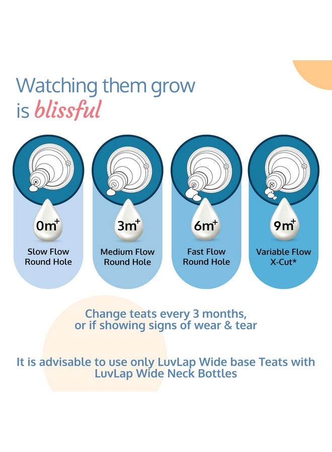 لوفلاب زجاجة رضاعة ناتورا فلور المضادة للمغص ذات العنق العريض، 150 مل (عبوة من قطعتين)، للأطفال حديثي الولادة/الرضع/الأطفال الصغار حتى سن 3 سنوات، خالية من مادة بيسفينول أ - Image 5