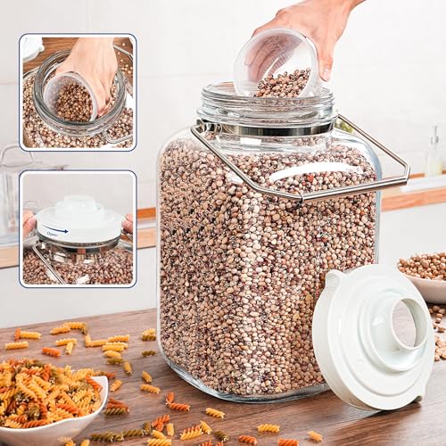 Daitouge 5 Gallon Glass Jar with Airtight Lid, Square Wide Mouth Storage Jar with Stainless Steel Handle, Glass Jug with Cup for Terrarium, Storage, Dog Treats, Mead Making - Image 3