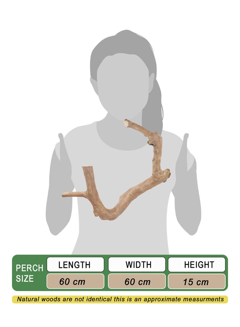 CHEWY BEAK Birds wooden perch, solid java wood stick, for cockatoo parrots and african gery parrots suitable for all bird cages - Image 2