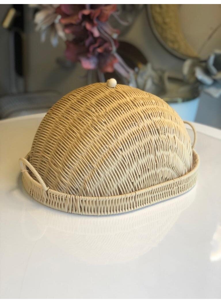 PEROTTI Synthetic Wicker Beige Oval Lidded Tray/Presentation 40X30X23CM 
