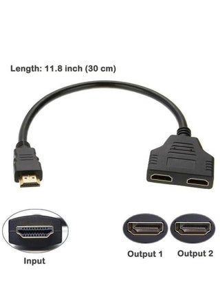 1 Input, 2 Outputs