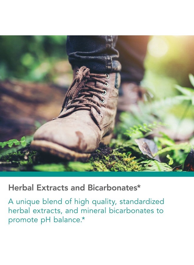 Nutricology Herxheimer Support with CurcuWIN - Support Acid-Base Balance and Systemwide - 60 Vegetarian Capsules - Image 3