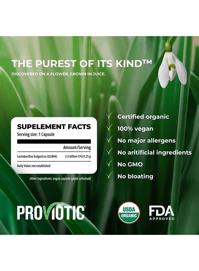 PROVIOTIC Organic Probiotic Lactobacillus Supplement with a Patented Formula Probiotics for Digestive Health Immune Support Vegan Probiotic Bio for Healthy Gut Anti Bloating for Men and Women - Image 2