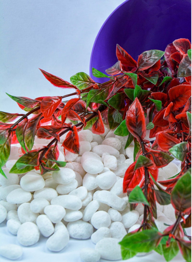 vsell24 2kg of 1-2 cm White Decorative Stones - Smooth Natural Pebbles for Aquariums, Vases, Terrariums, Lawns, and Garden Decor  - Image 2