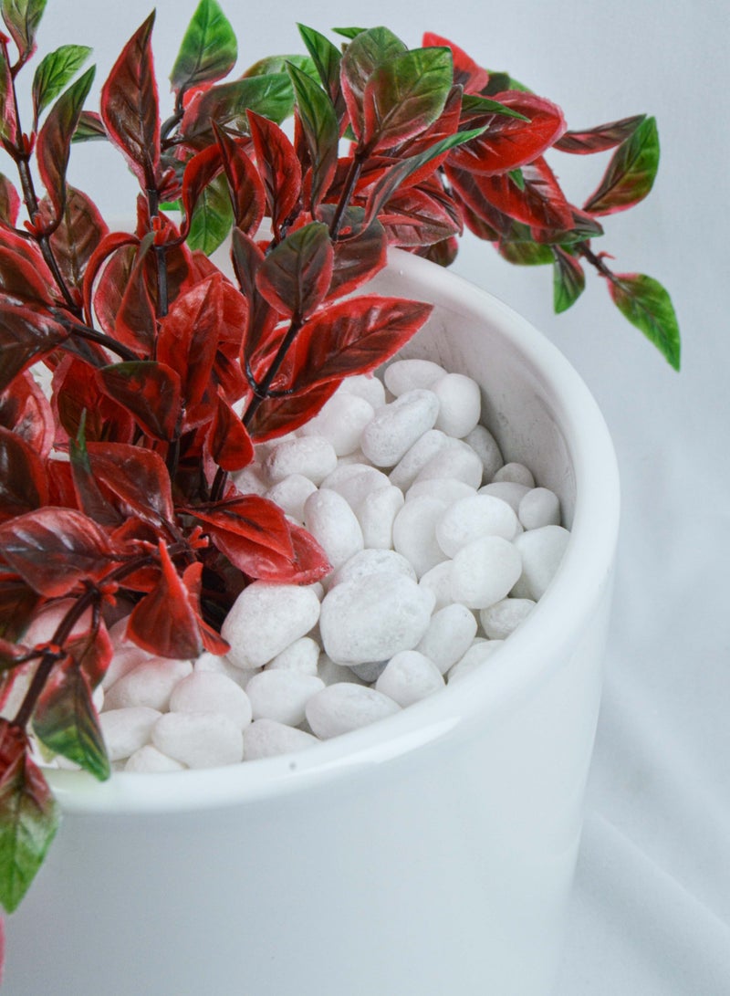 vsell24 2kg of 1-2 cm White Decorative Stones - Smooth Natural Pebbles for Aquariums, Vases, Terrariums, Lawns, and Garden Decor  - Image 4