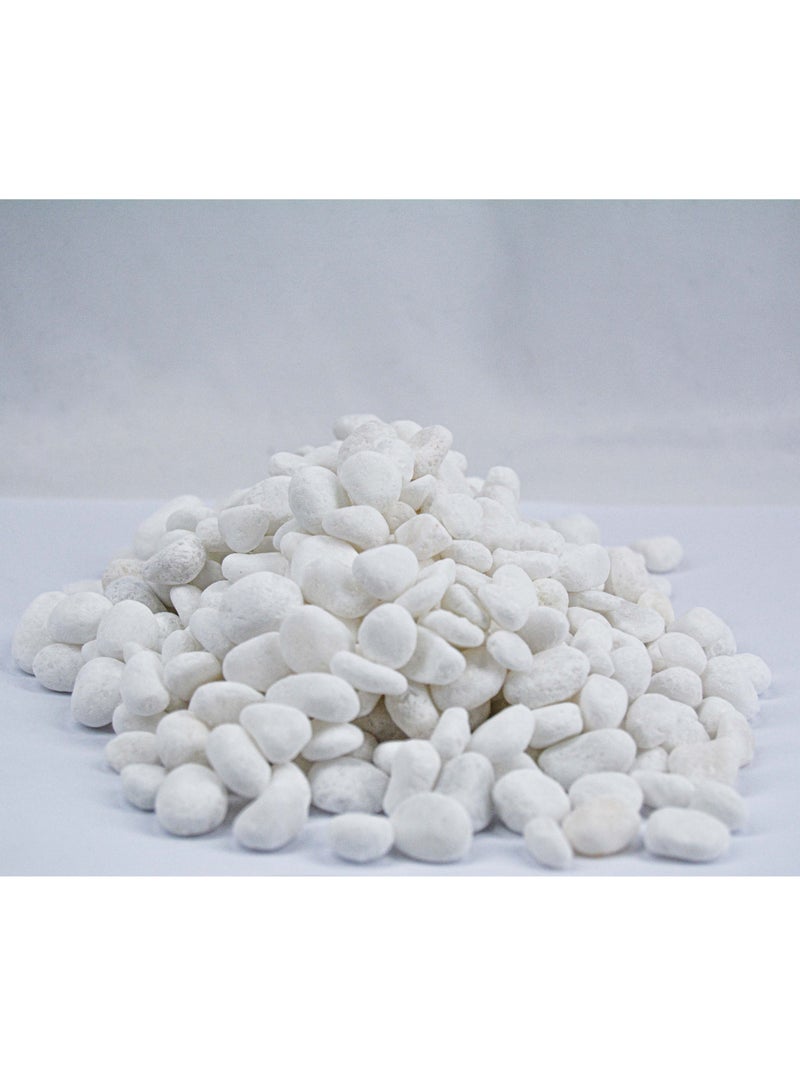 vsell24 2kg of 1-2 cm White Decorative Stones - Smooth Natural Pebbles for Aquariums, Vases, Terrariums, Lawns, and Garden Decor  - Image 1