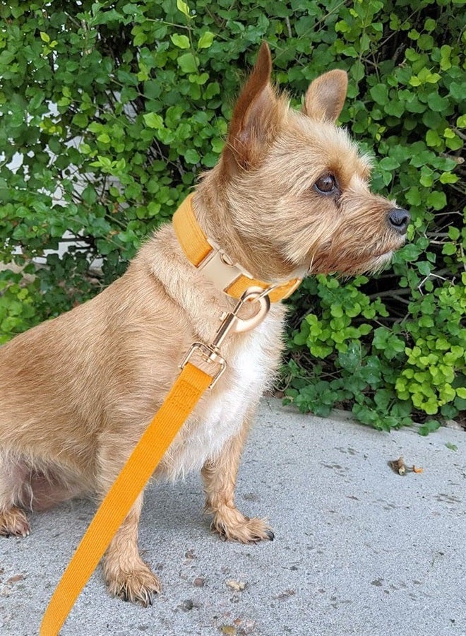 YUDOTE Soft Cotton Dog Collar with Metal Buckle Adjustable Heavy Duty Comfy Corduroy Collars for Small Medium Large Dogs,Orange,Large - Image 5