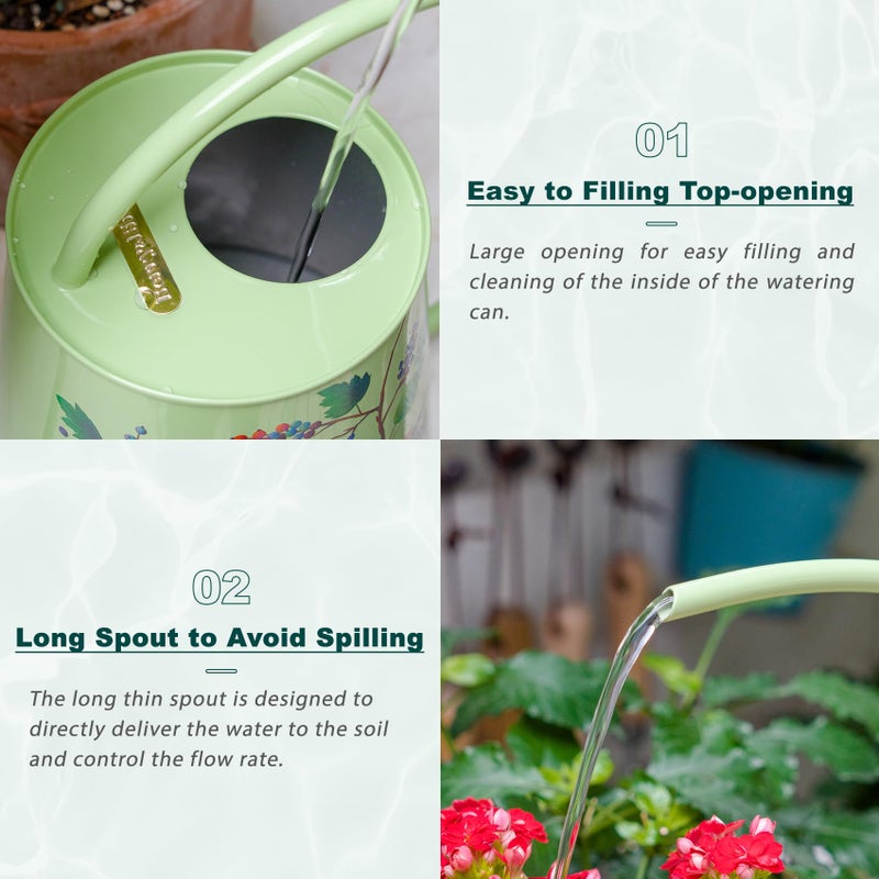Berry&Bird House Plants Watering Can - Indoor & Outdoor 1/2 Gallon Stainless Steel Water Can with Long Spout Garden Decoration for Flower Bonsai Succulent Gardening Large Watwer Bottle(2L/Robin) - Image 3