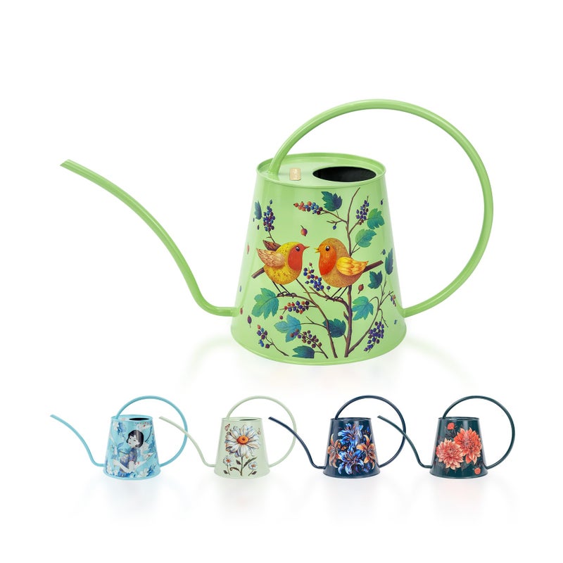 Berry&Bird House Plants Watering Can - Indoor & Outdoor 1/2 Gallon Stainless Steel Water Can with Long Spout Garden Decoration for Flower Bonsai Succulent Gardening Large Watwer Bottle(2L/Robin) - Image 1