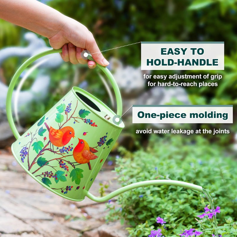 Berry&Bird House Plants Watering Can - Indoor & Outdoor 1/2 Gallon Stainless Steel Water Can with Long Spout Garden Decoration for Flower Bonsai Succulent Gardening Large Watwer Bottle(2L/Robin) - Image 5