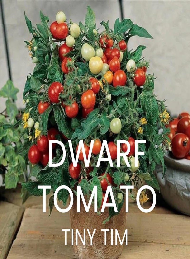 GGOOT Heirloom Tomato Seed Multi Pack Kit - 4 Speciality Varieties for Home Growing Tomato Seeds - Image 2