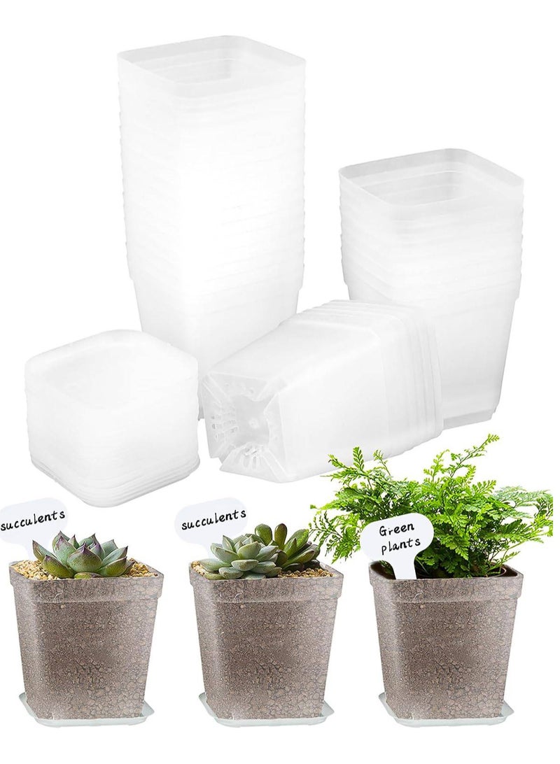 50 PCS Seed Starting Pots, 7cm Plastic Nursery Pots Square Plant Pots Fruit Plant Pots Flower Plant Containers Seedling Containers Cutting Transplant Pots Gardening Supplies for Fruit Vegetable Plant (Clear)