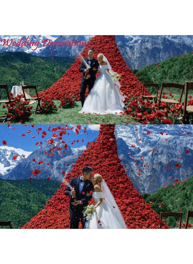 Lyaxm 1000 PCS Dark-Red Silk Rose Petals for Romantic Night,Wedding,Proposal Anniversary Flower Decorations - Image 2