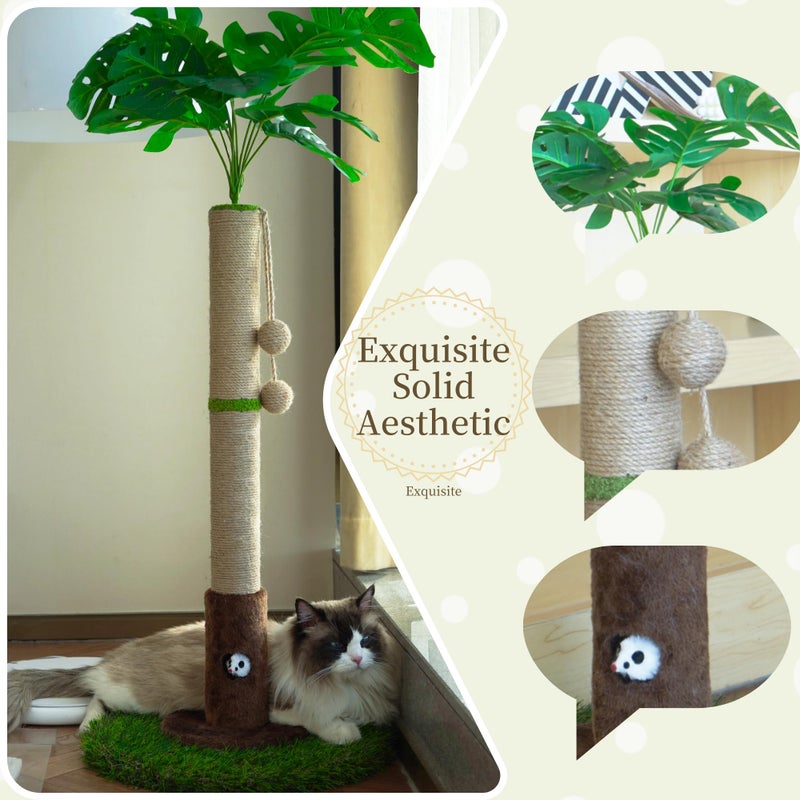 Woochpet Cat Scratching Post for Indoor Cats and Kitten - 35.43" Tall Cat Scratching Post with Sisal Rope,Palm Tree Cat Scratch Post with Hanging Ball - Image 2
