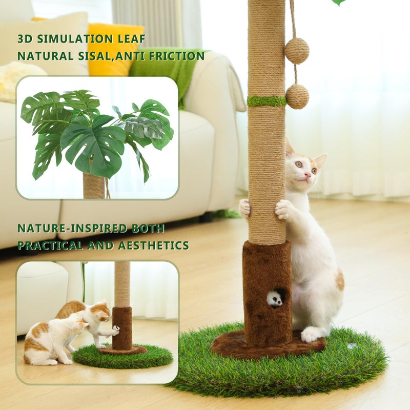 Woochpet Cat Scratching Post for Indoor Cats and Kitten - 35.43" Tall Cat Scratching Post with Sisal Rope,Palm Tree Cat Scratch Post with Hanging Ball - Image 5