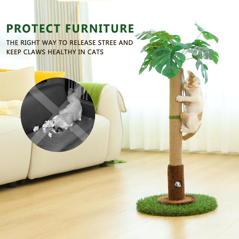Woochpet Cat Scratching Post for Indoor Cats and Kitten - 35.43" Tall Cat Scratching Post with Sisal Rope,Palm Tree Cat Scratch Post with Hanging Ball - Image 4