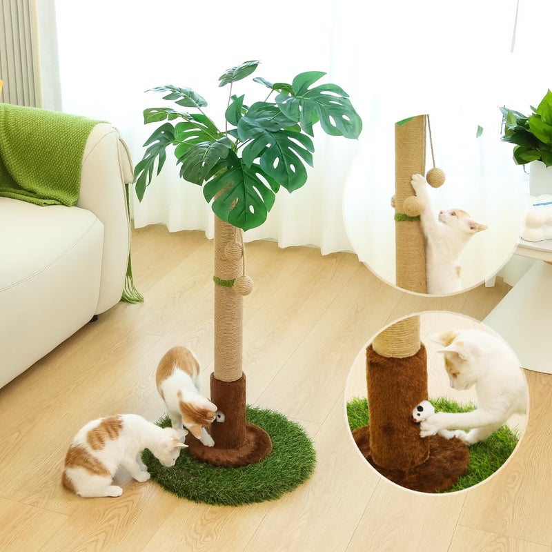 Woochpet Cat Scratching Post for Indoor Cats and Kitten - 35.43" Tall Cat Scratching Post with Sisal Rope,Palm Tree Cat Scratch Post with Hanging Ball - Image 3