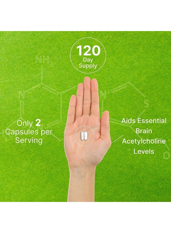 DEAL SUPPLEMENT Alpha GPC 600mg Per Serving, 240 Capsules - Bioavailable Choline Replenishment -Nootropic Brain Health Supplements for Memory and Focus - Non-GMO, Gluten Free - Image 5