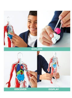 Discovery Discovery Mindblown - 3D Human Anatomy Kit  - Image 5