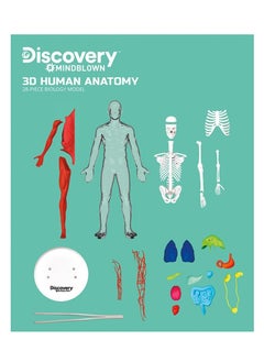 Discovery Discovery Mindblown - 3D Human Anatomy Kit  - Image 3